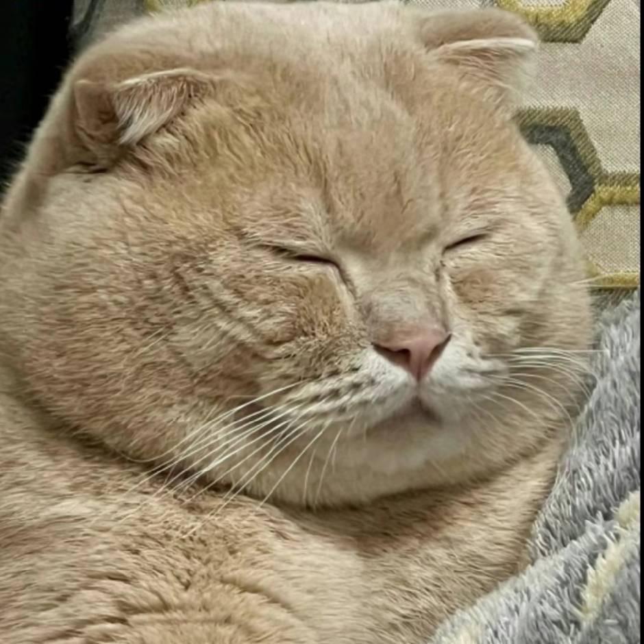 睡不醒