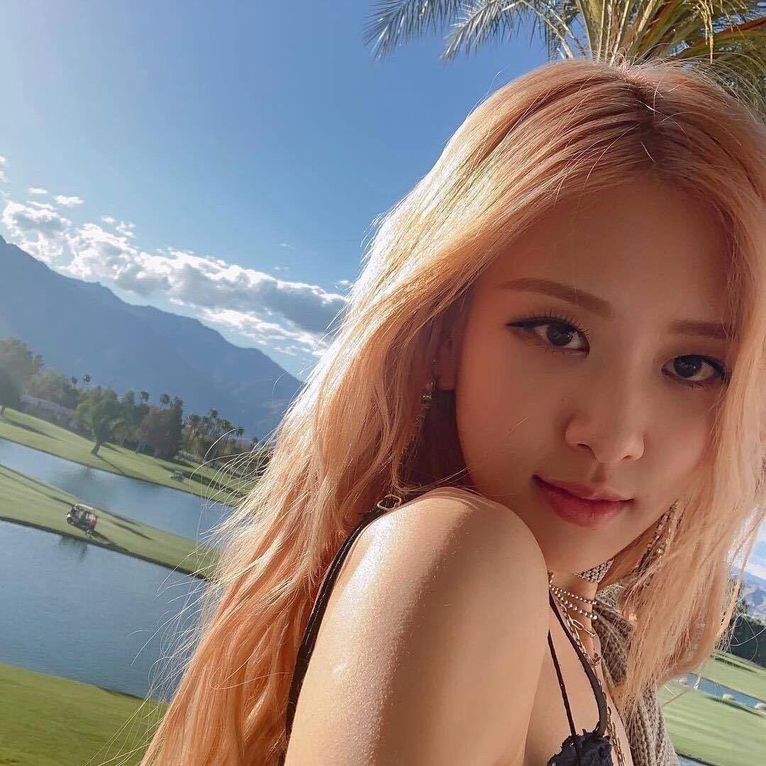 鳄鱼小姐拜托了.