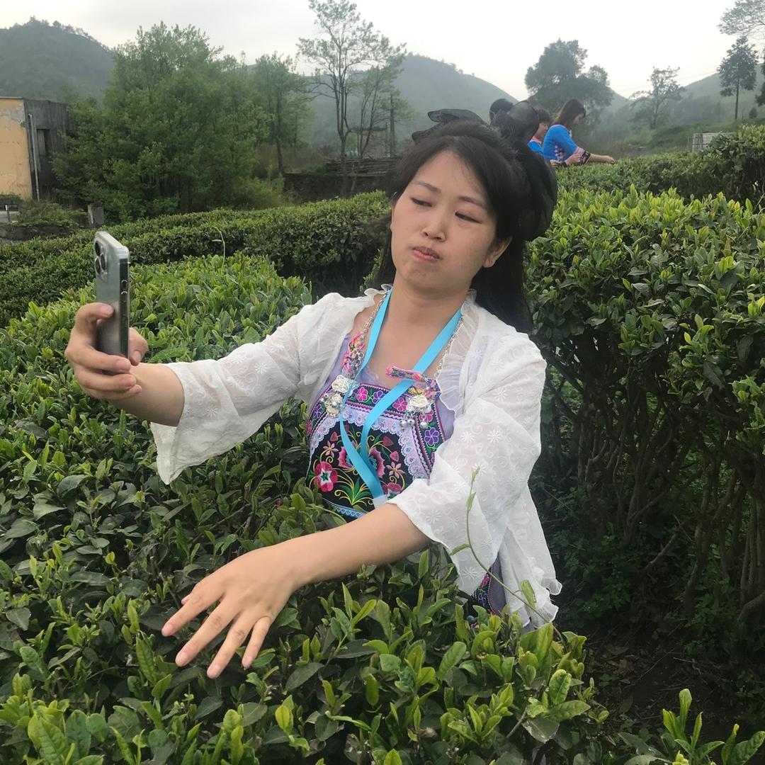 最美都匀  毛尖茶