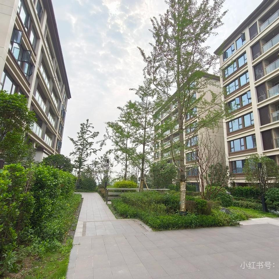 LH-贩卖人间烟火