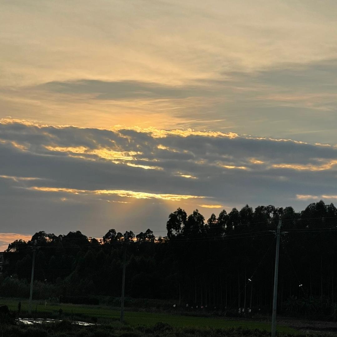 夕阳