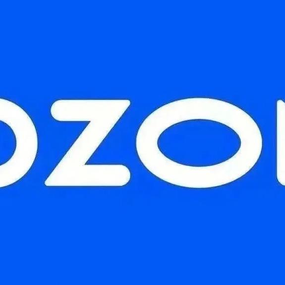 宜丹元OZON店铺诊断