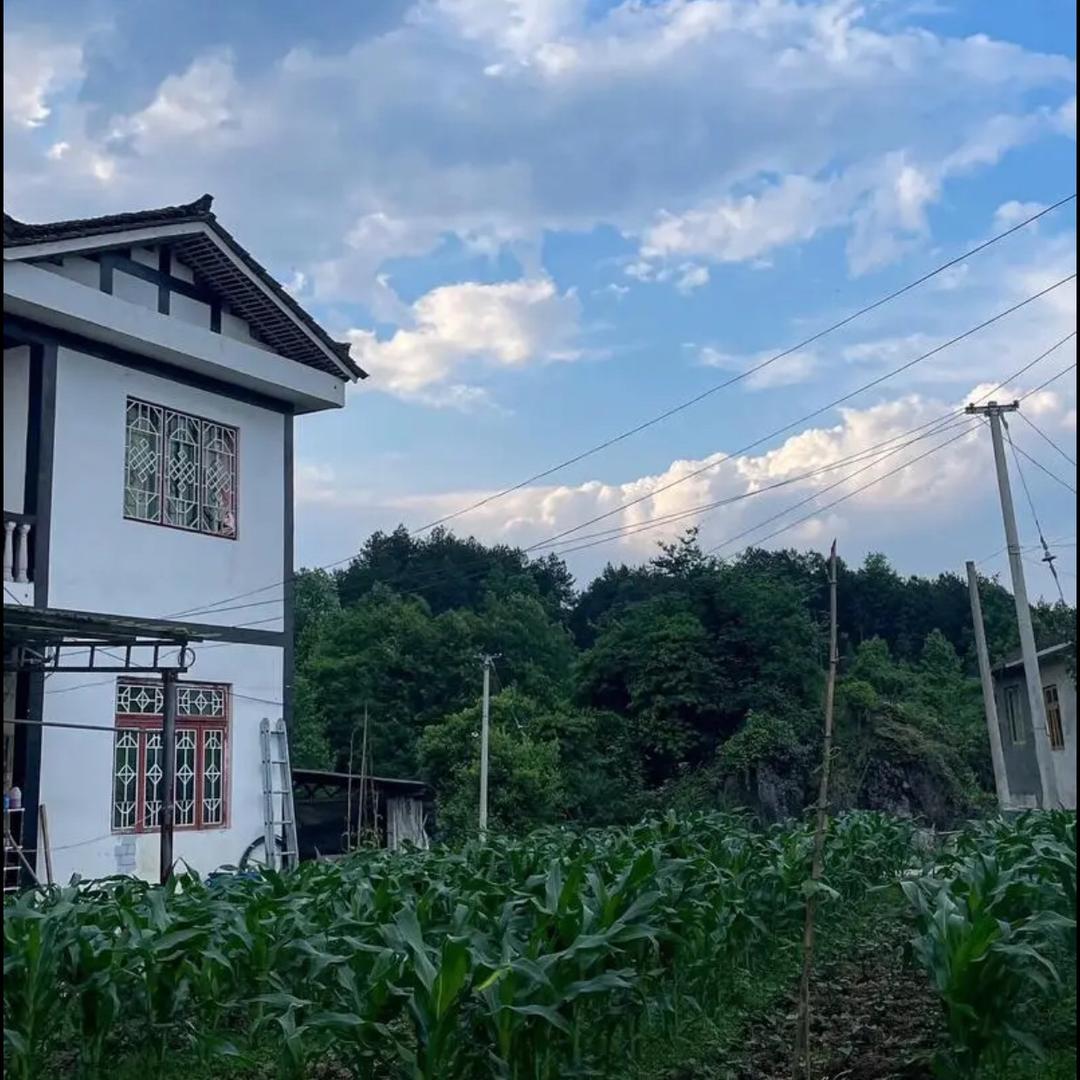 遇见