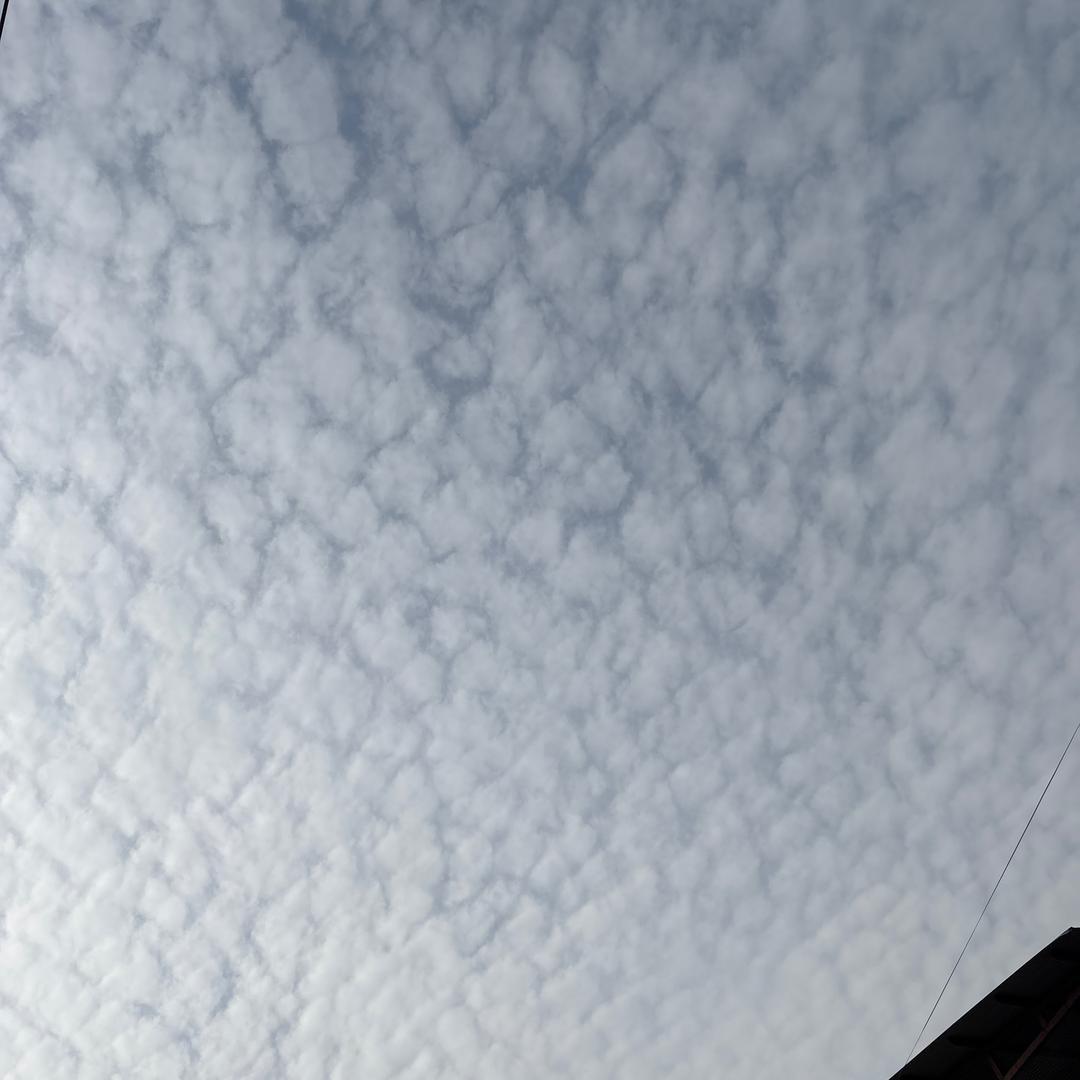 🌲🌲🌲霞🌲🌲收图