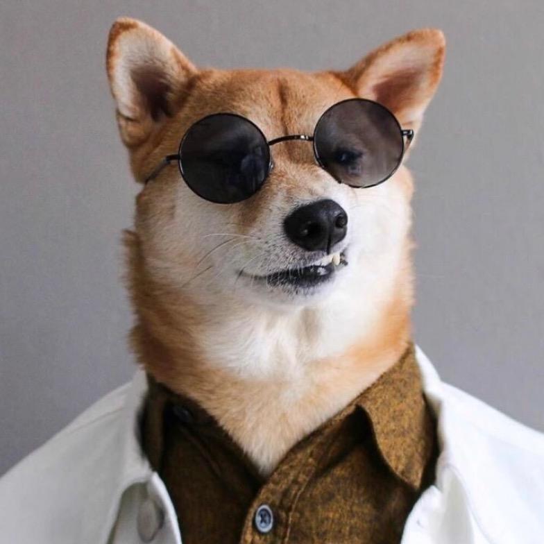 🏃🏼‍♂️VC到处跳