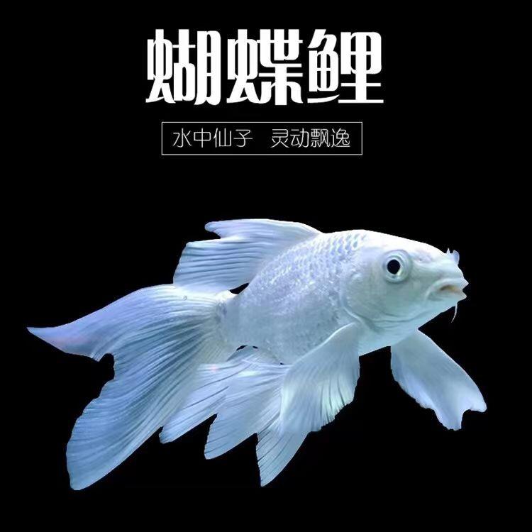 开心目标