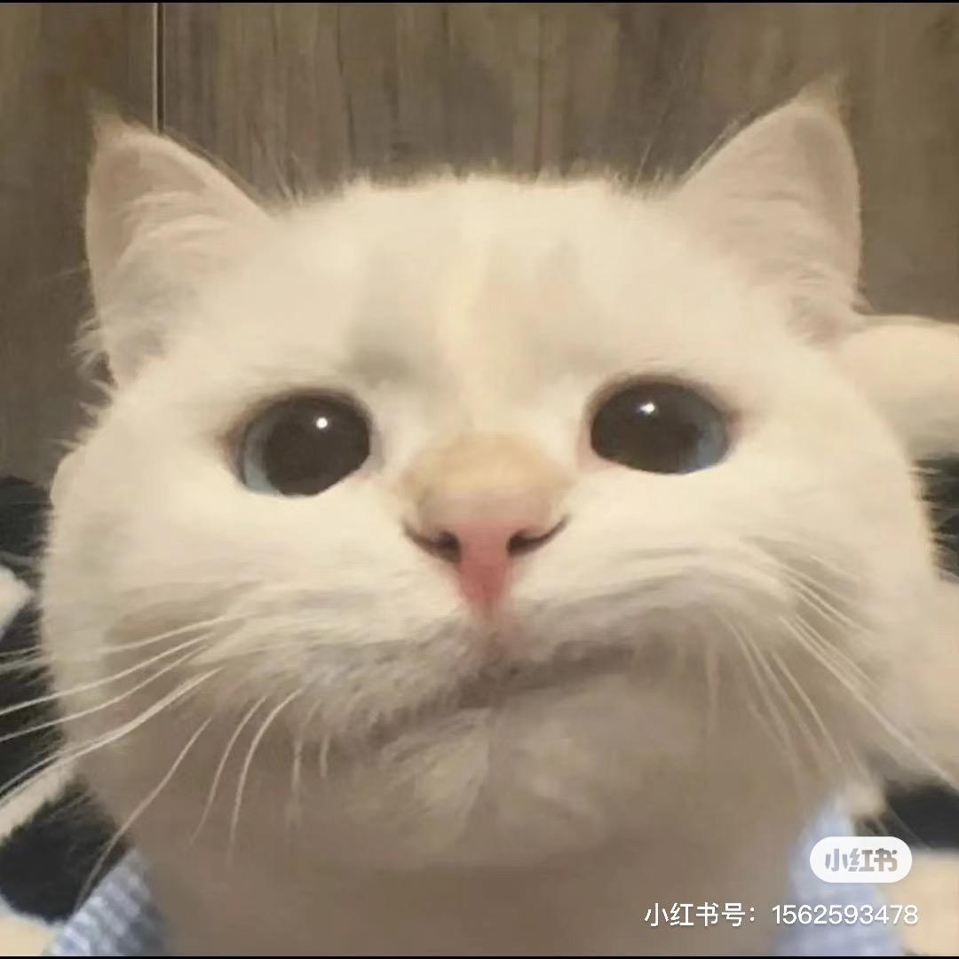 张奕鸣（青铜最强英雄池）