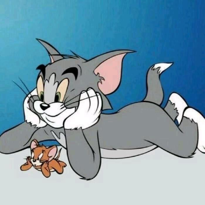 养猫人