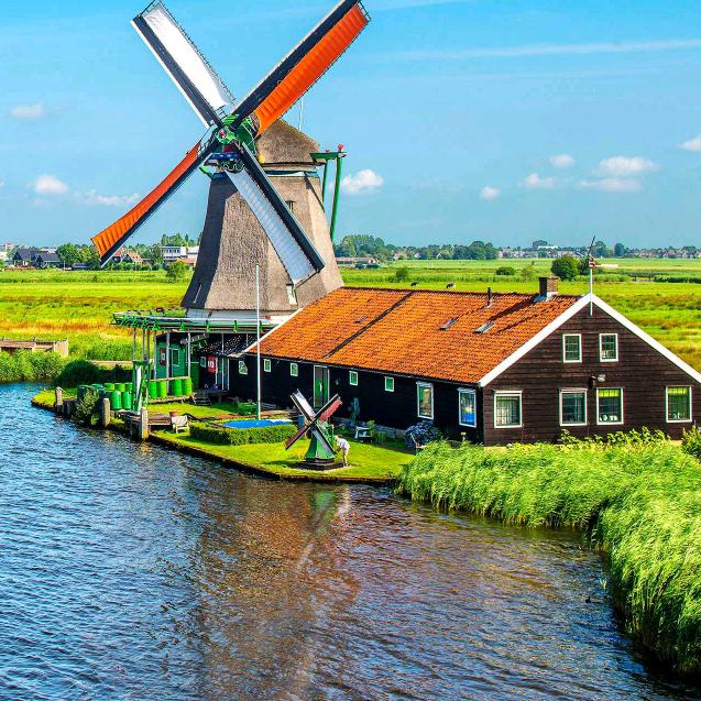 心随我愿，心想事成