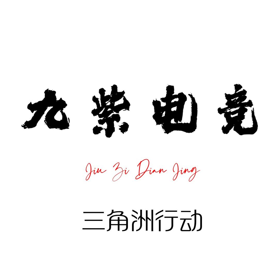 九紫电竞（三角洲行动）