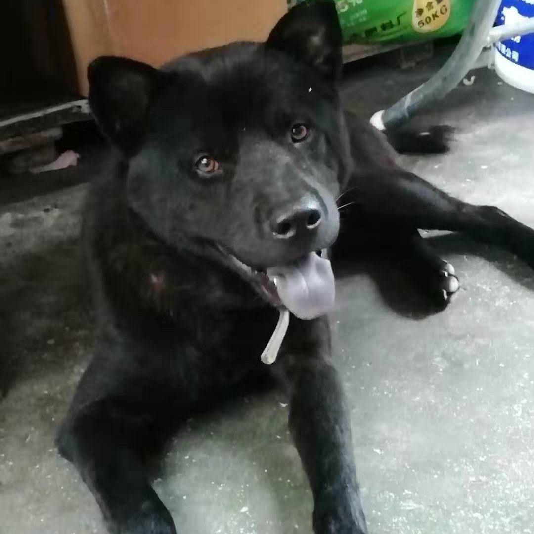 @鑫