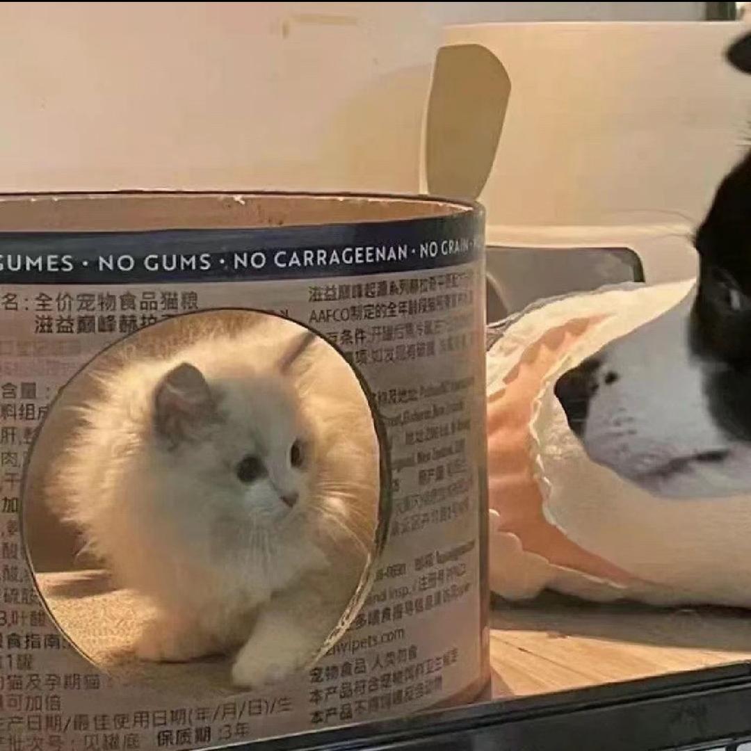 想睡懒觉