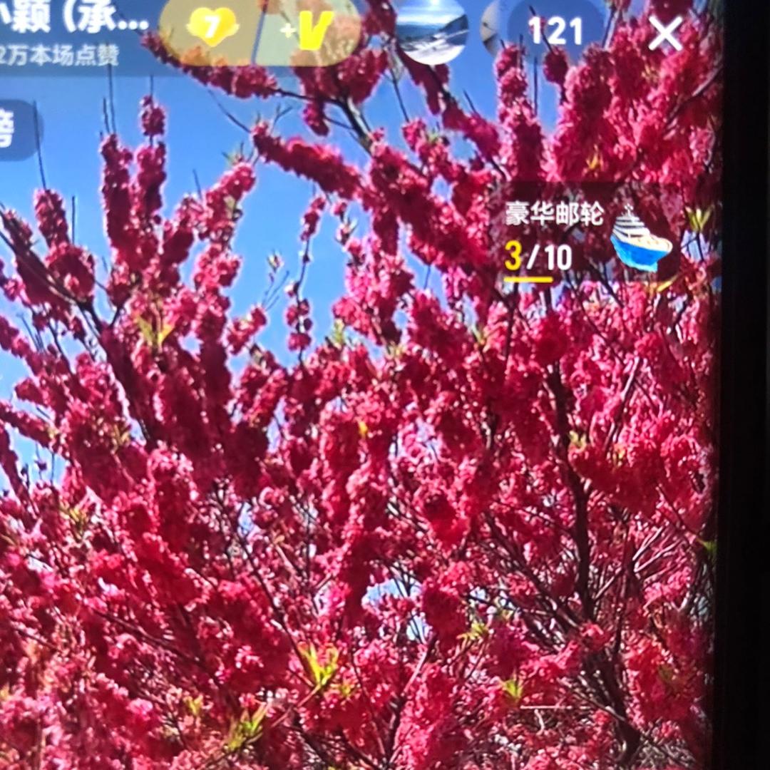 为生活加油