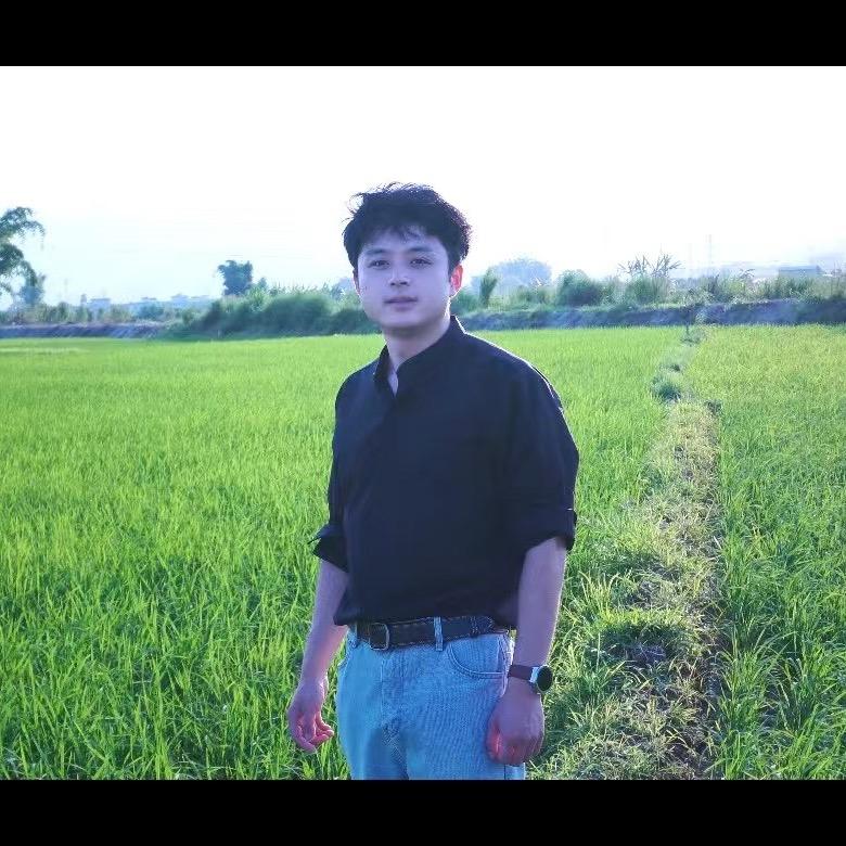 大卫造型官方号