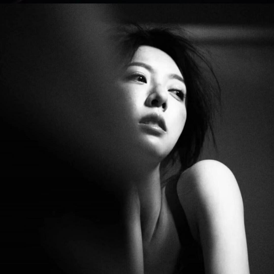 写作文的敏捷犀牛