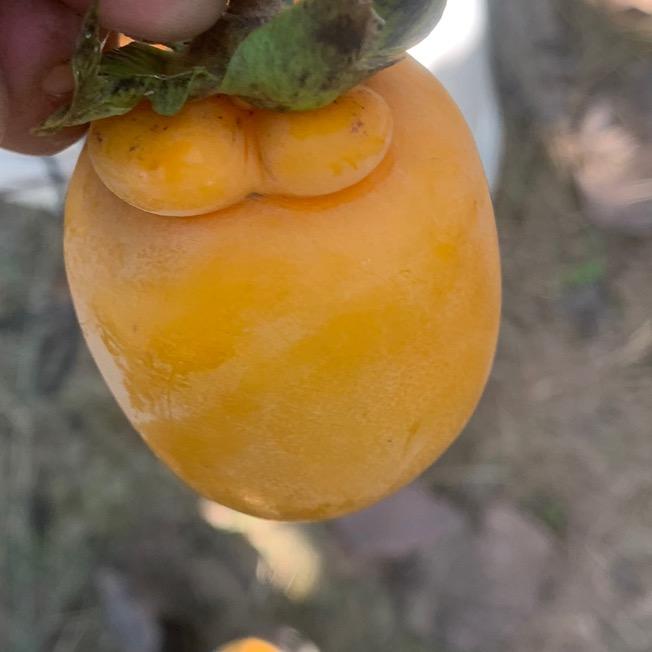 雄达轴承(众冠花园店)雄达轴直播号