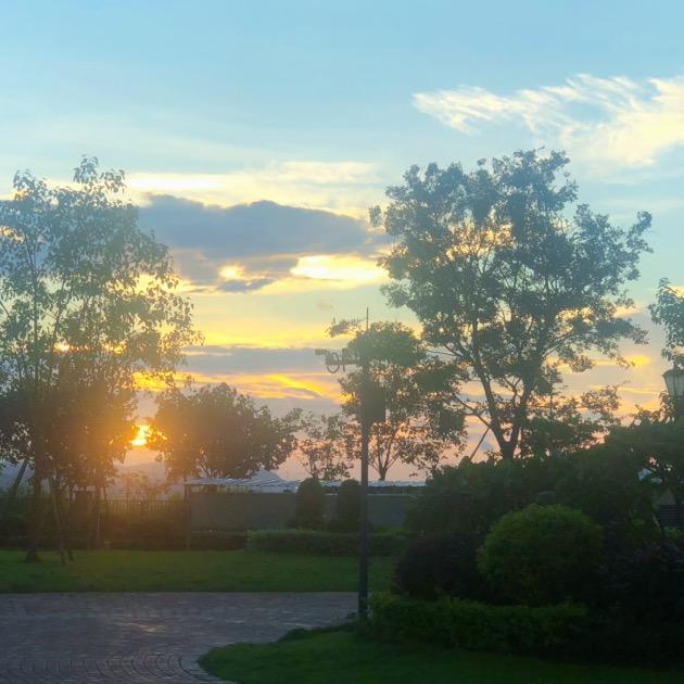 陈老师（广东升学规划）