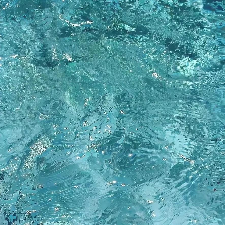 渣渣咪的小日子❤️