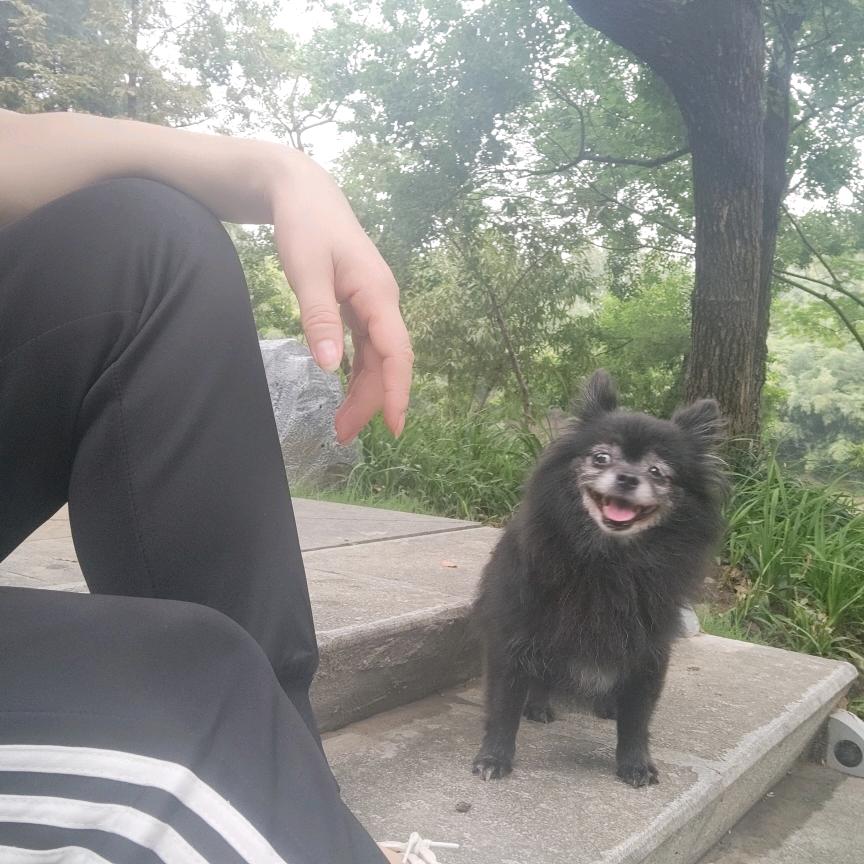 冬至风寒