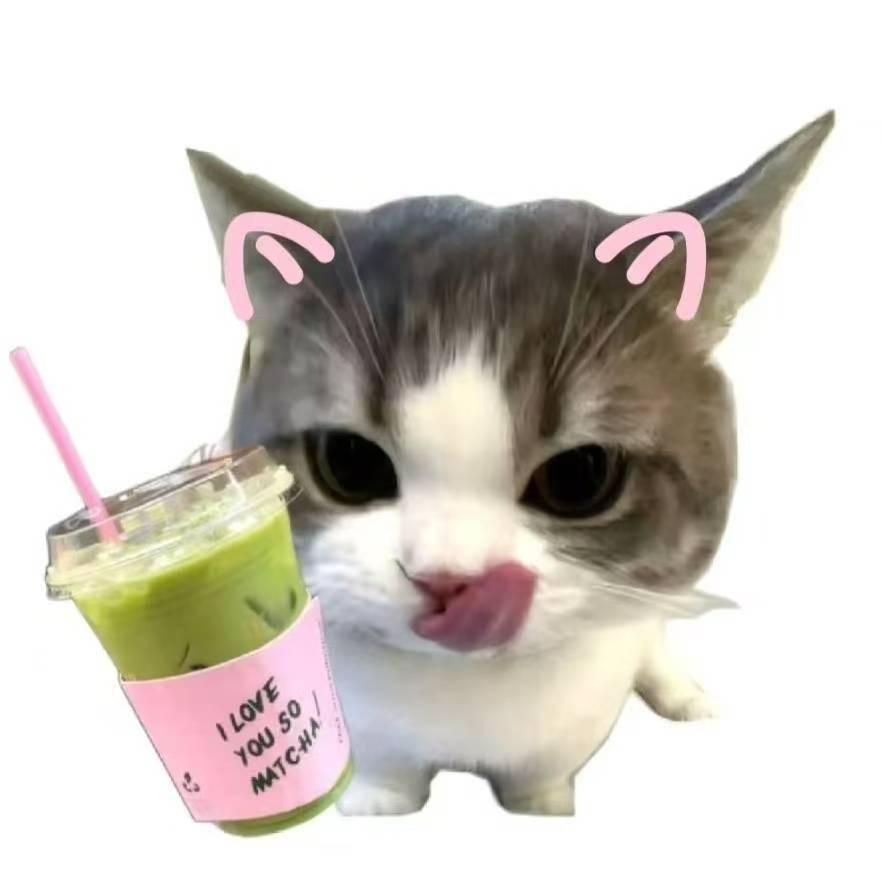 白鹿巷的实况直播号