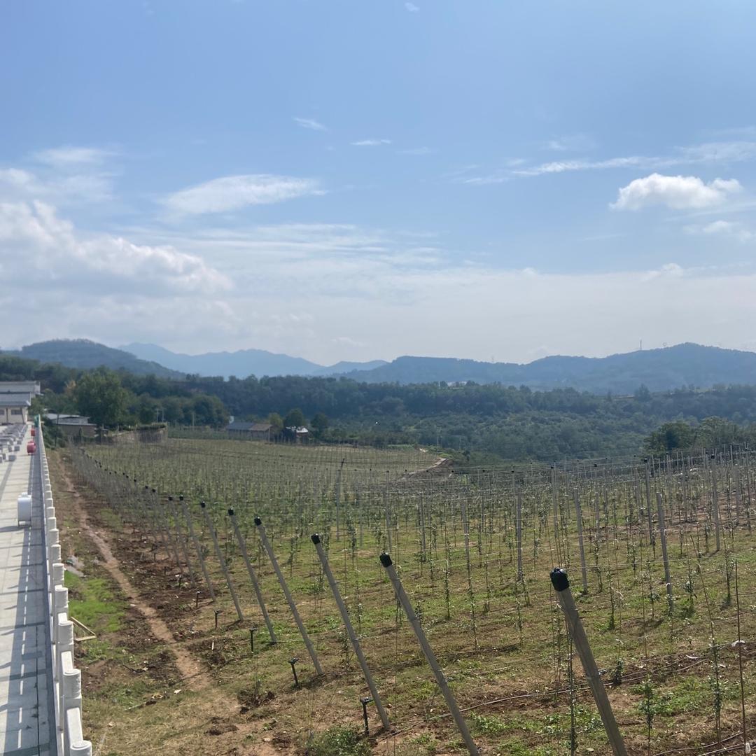 农村俩兄弟日常