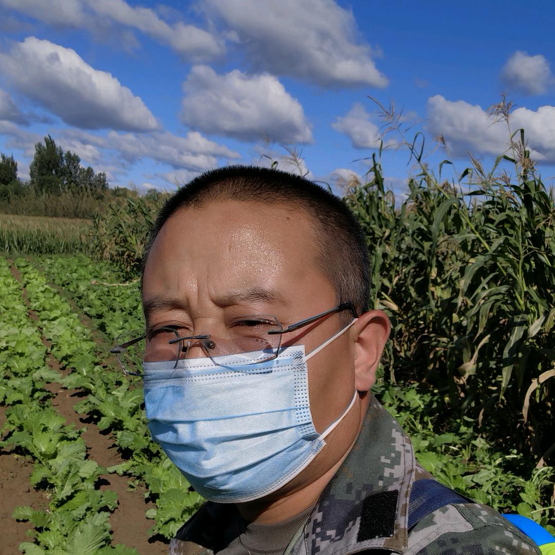 武邑县宋北雀村