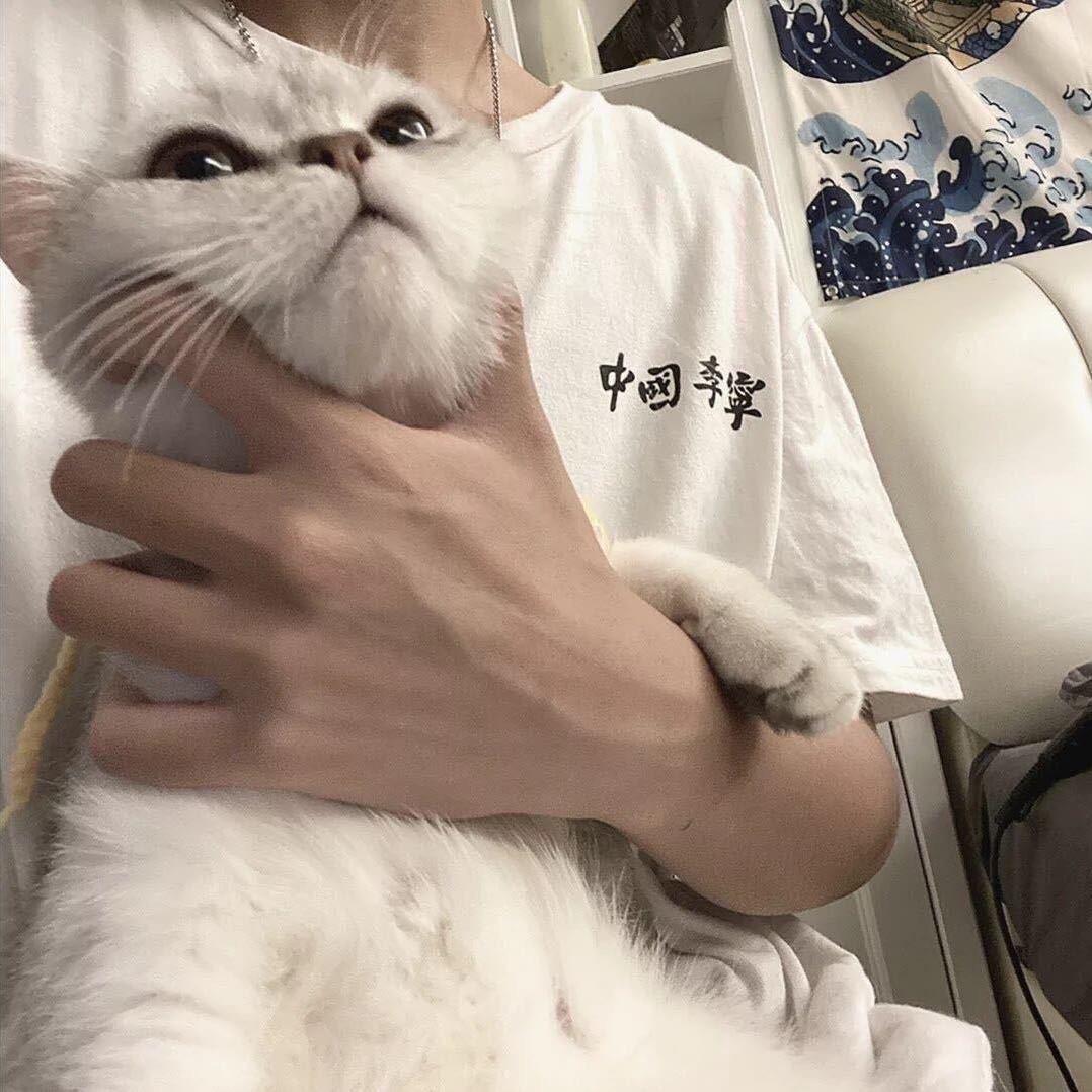 小橘子租房