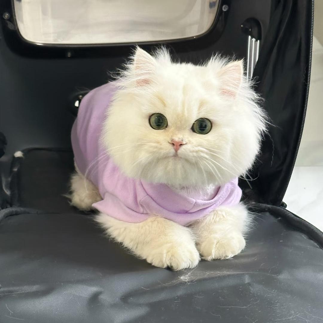 小熊珠宝