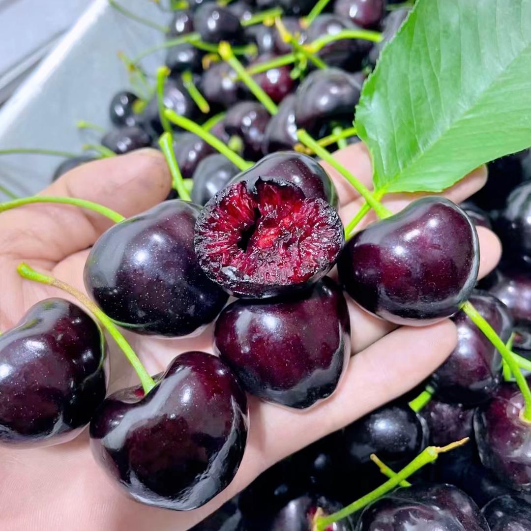 国富专营店众集的头像