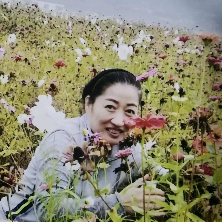 惠慧