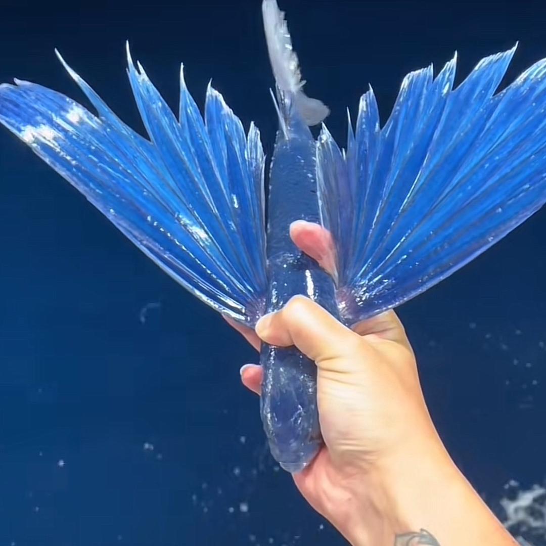 时尚丽人美容育发会所