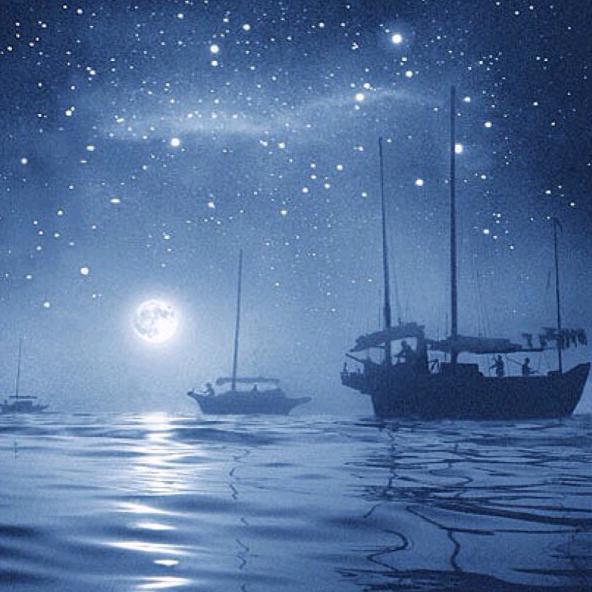 倔强芬芳了惘然