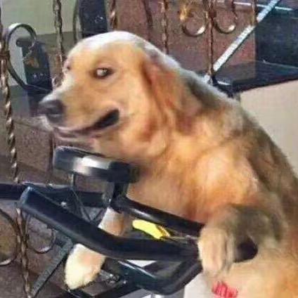 骑着小猪找佩琪