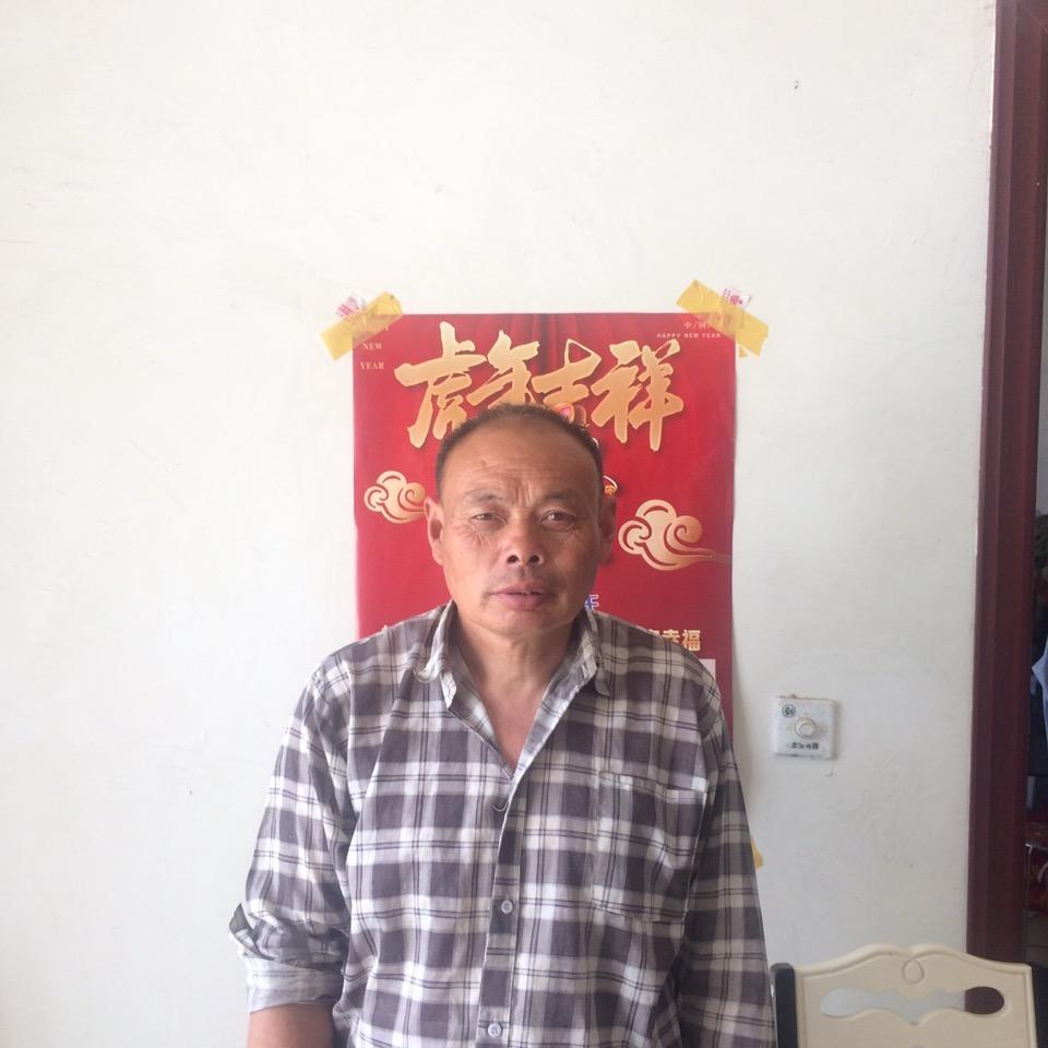 出售西红柿，豆角等蔬菜