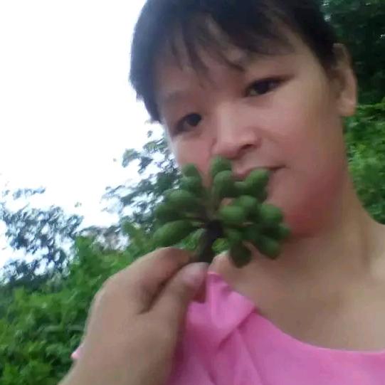 文琴