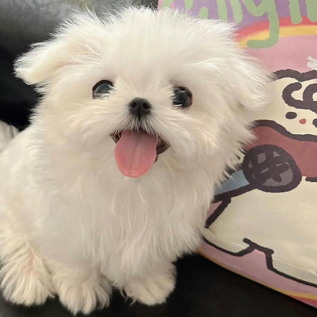 手套匠人
