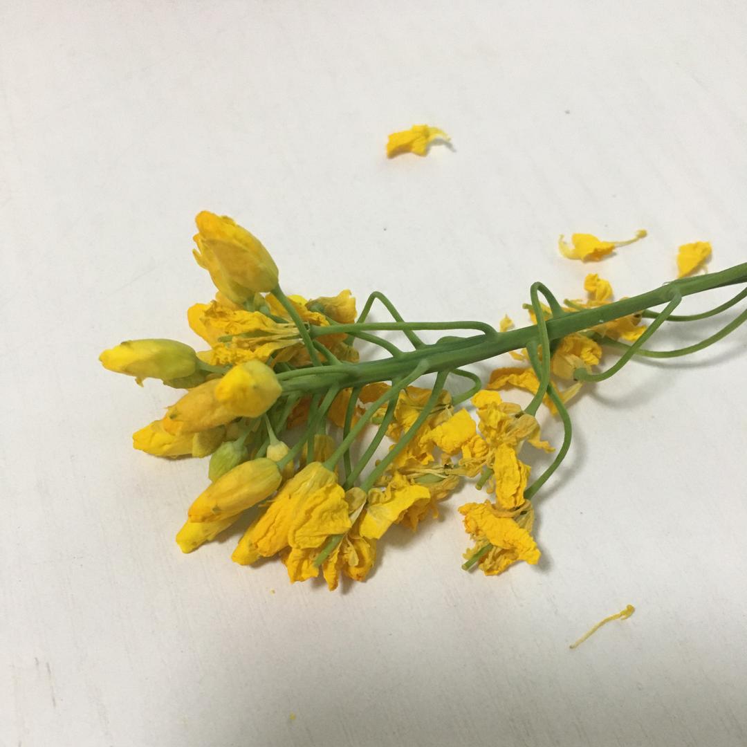 锦里烬色