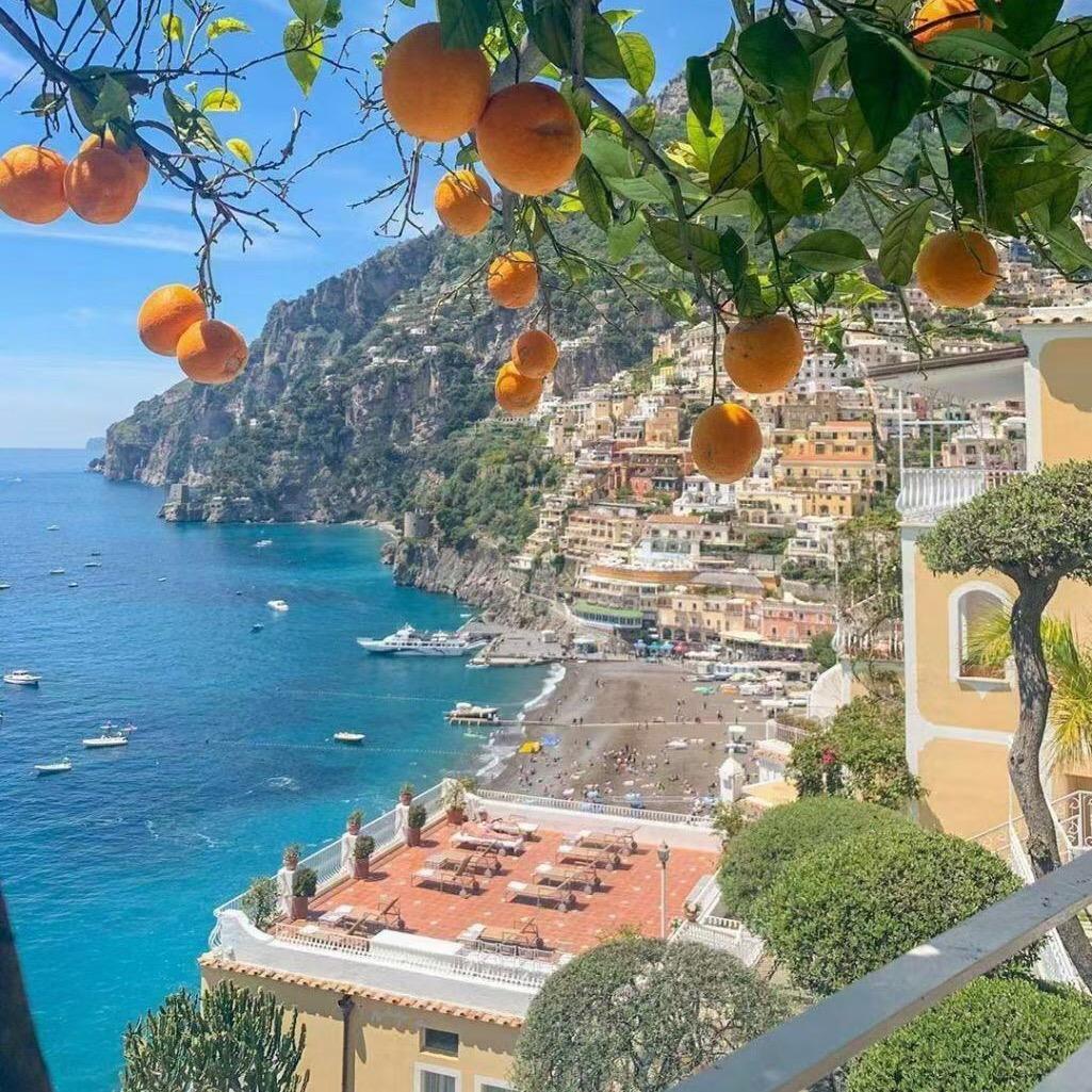 言而有信☘️☘️