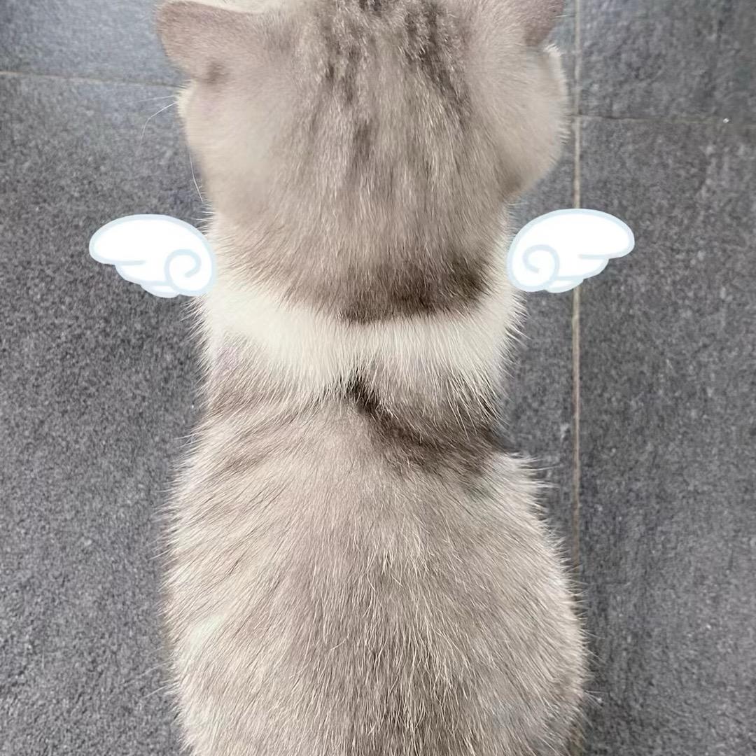 ℳ̶̶̶̶♡̶҉LFFℳᥫᩣ