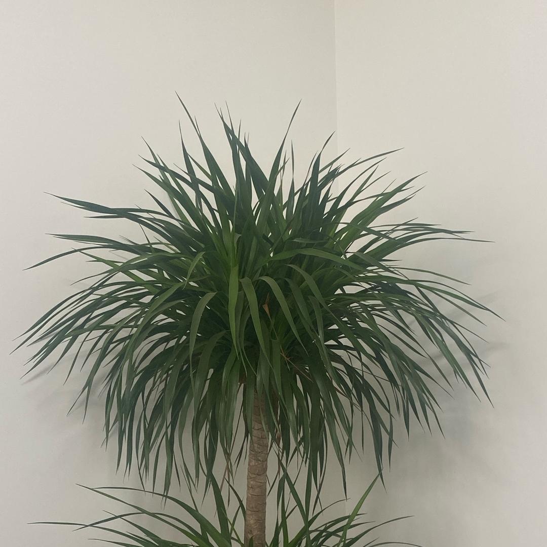 dsf4569s5g23df直播号