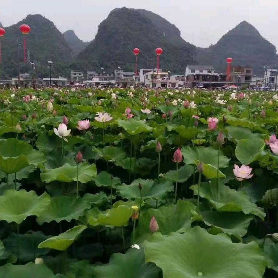 诚信