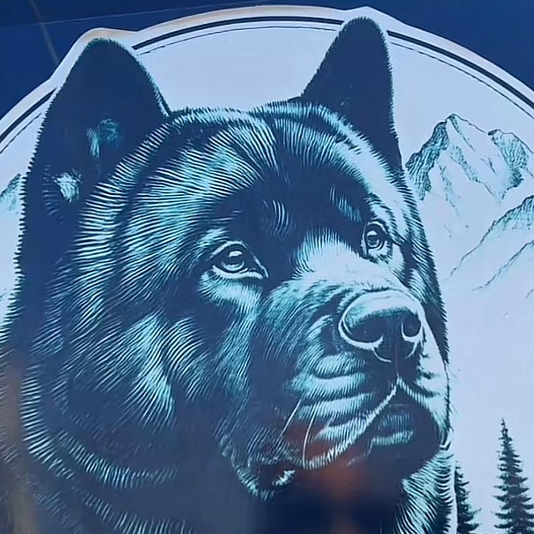 熊出没🐻🐻🐻