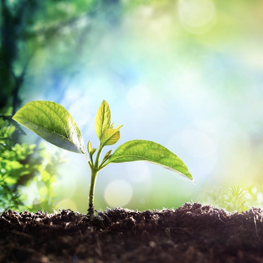 生命是一个存在的过程