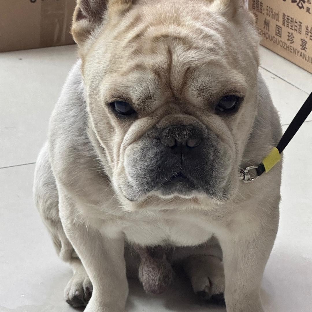 西门琅姆综合超市（小欣）