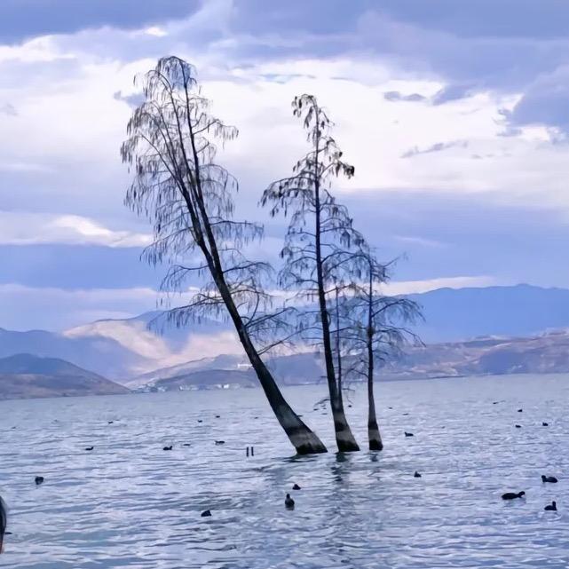 达芙妮女鞋（宝龙店）