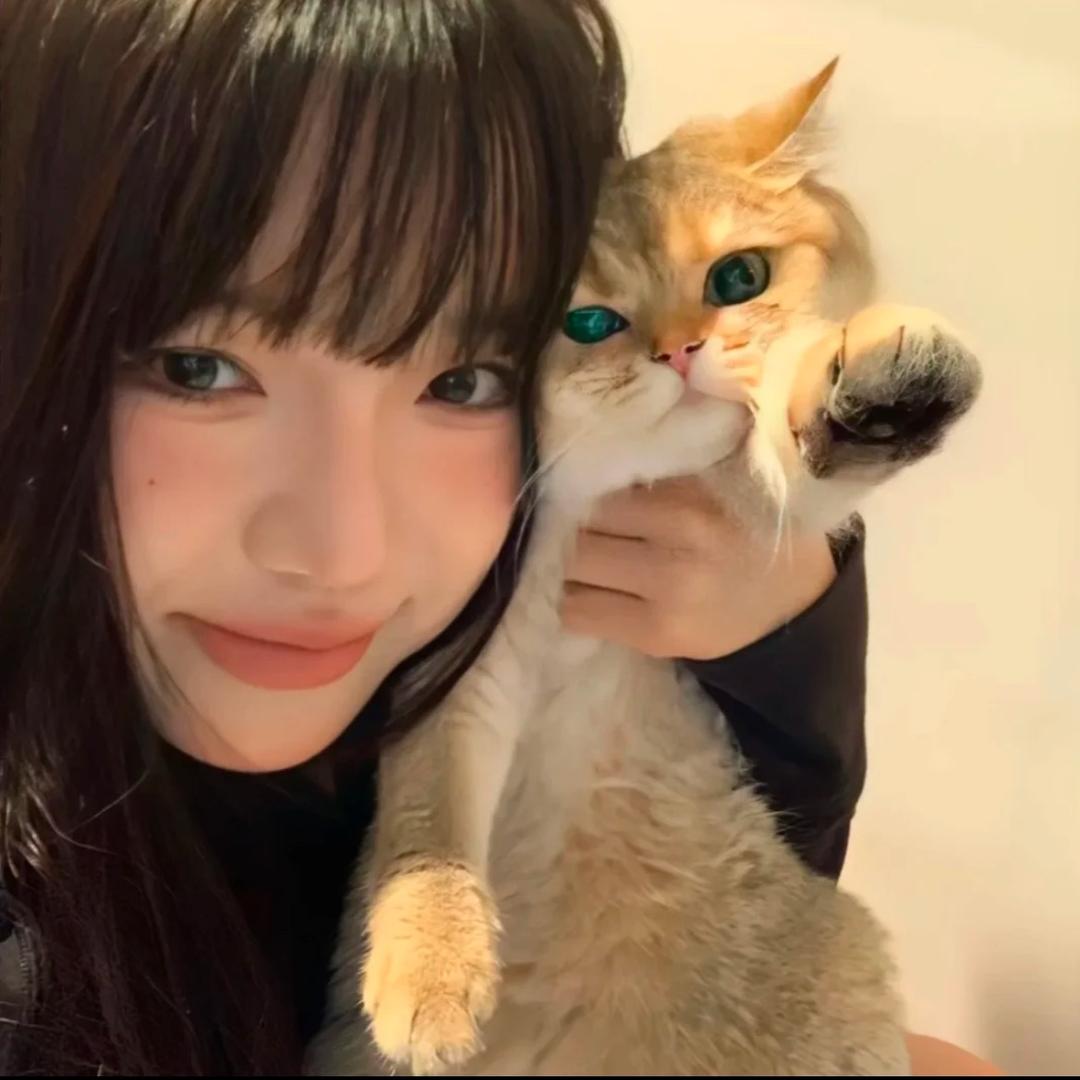 见冬