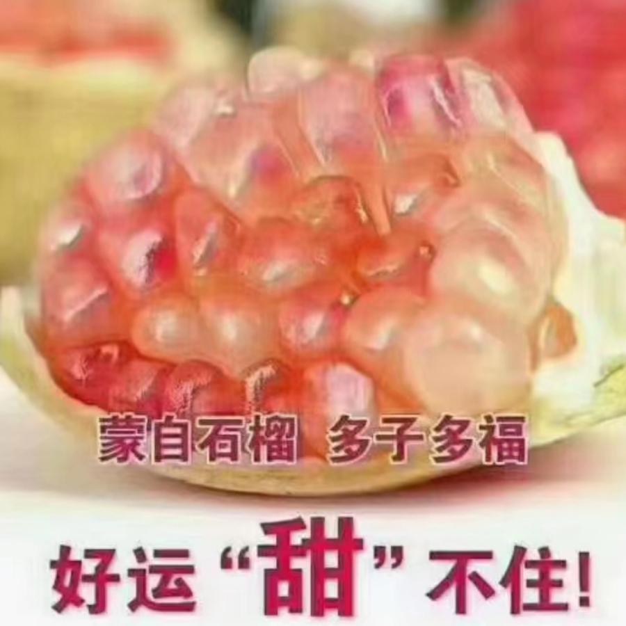 订装修或订石榴找 李佩莲