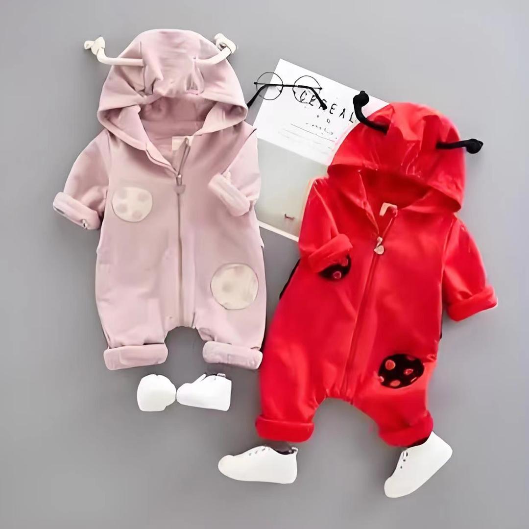兰琪小猫婴幼精选