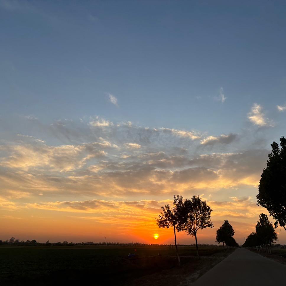 仙女界的气质姐