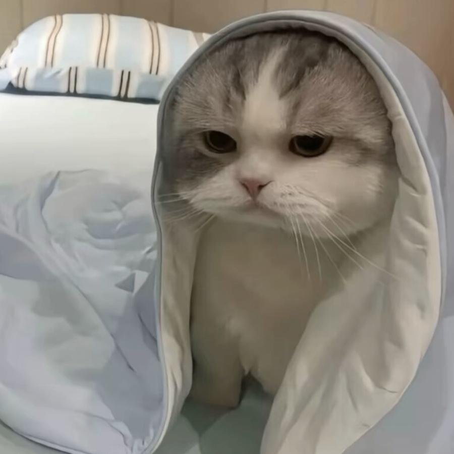 孔姐（手工鸡蛋卷）